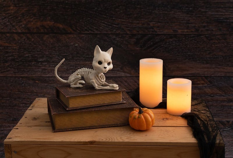 Crazy Bonez Cute Skeleton Cat - Image 2